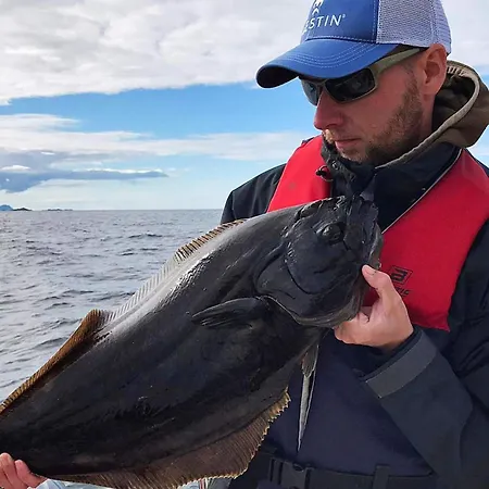10 Person In Kaldfarnes 度假居 Sifjord