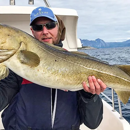 10 Person In Kaldfarnes Sifjord