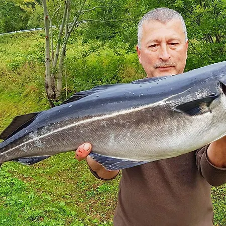 10 Person In Kaldfarnes * Sifjord