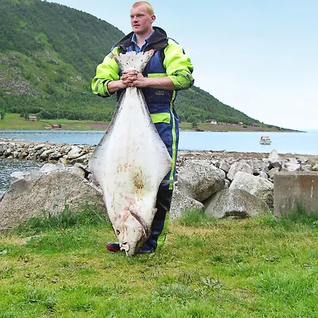10 Person In Kaldfarnes 度假居 Sifjord