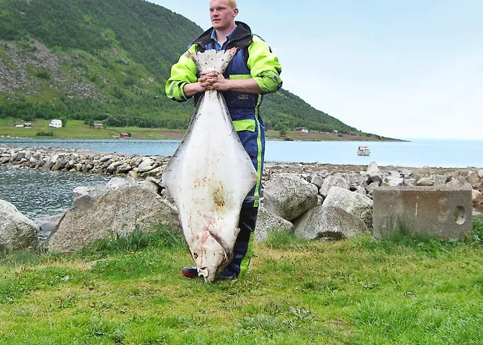 10 Person In Kaldfarnes-by Traum Semesterbostad
