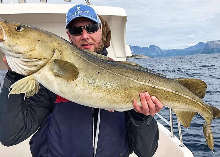 10 Person In Kaldfarnes-by Traum Sifjord