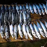 10 Person In Kaldfarnes بيت للعطل Sifjord